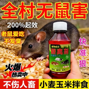 驱鼠神器老鼠虫鼠特效药丸家用防扑捉灭鼠一窝端驱鼠丸强效黑科技