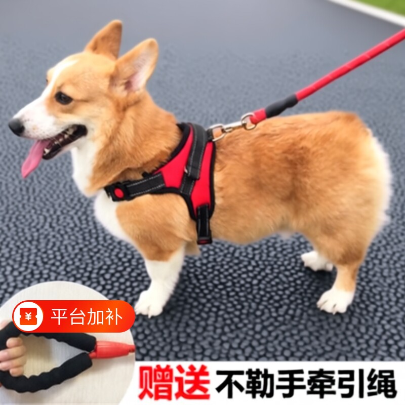 狗背带狗狗牵引绳胸背带中型犬遛狗拉布拉多柯基小型犬不勒脖脖子