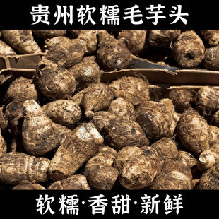 新鲜现挖大芋头牛奶芋头批发装 食堂餐馆