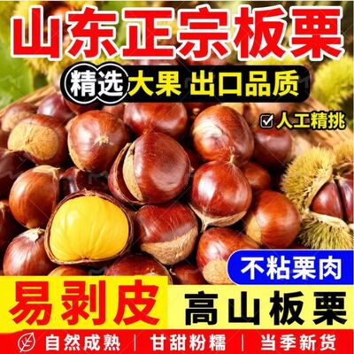2026年新鲜沂蒙山老树栗子即食生栗子带壳野生油板栗新货正宗当季