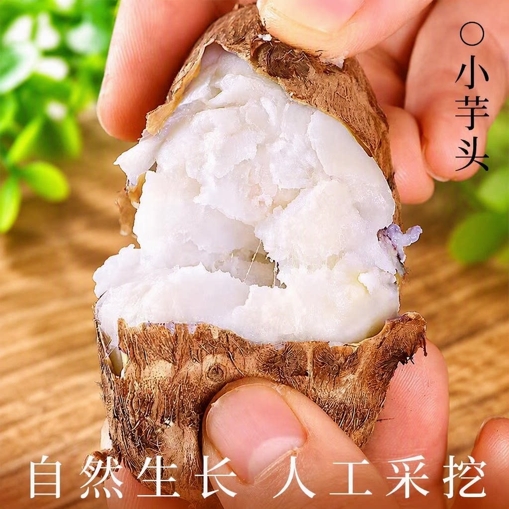 新鲜小芋头山东牛奶小芋头小香芋头粉糯芋头多规格