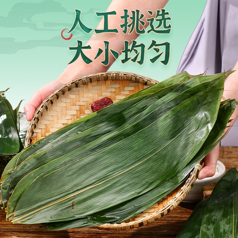 粽叶新鲜粽子叶包粽子专用大粽叶