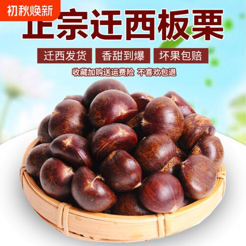 真迁西板栗产地直发坏果包赔