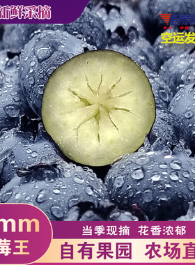 [空运发货]整箱蓝莓大果22mm云南高山花香蓝莓25新鲜采摘当季水果