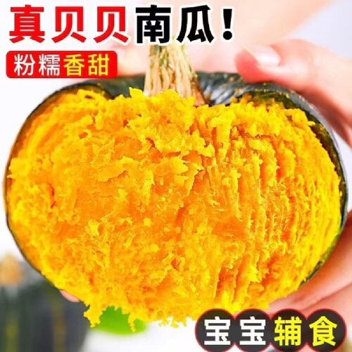 正宗贝贝南瓜板栗味粉糯香甜孕妇婴儿宝宝老瓜5斤蔬菜新鲜当季
