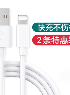 数据线适用iPad苹果iPhone1413快充11promax手机12充电器7p品6s加长8plus充电线平板2米XR冲X/17/16/15快充线