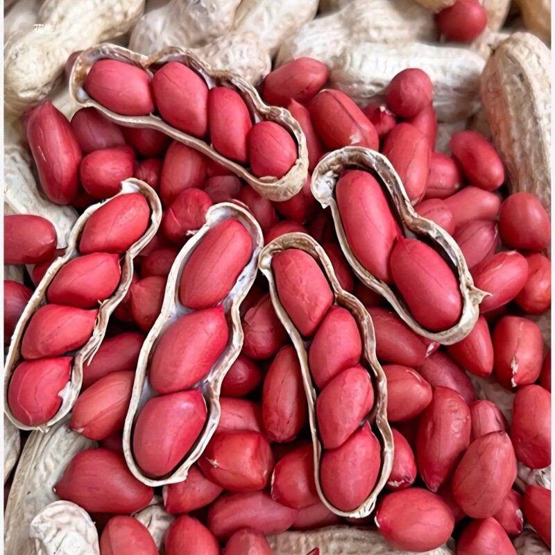 2025年带壳新货红皮花生果农家自种原味生花生米自然晒干生四粒红