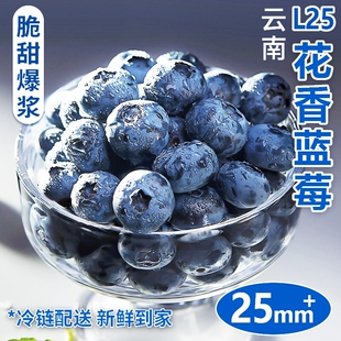 新鲜水果孕妇整箱农场配送 顺丰云南花香蓝莓l25现摘特大果当季