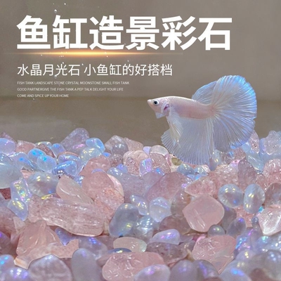 鱼缸造景月光石水晶石观赏鱼斗鱼缸装饰摆件天然石子斗鱼造景底砂