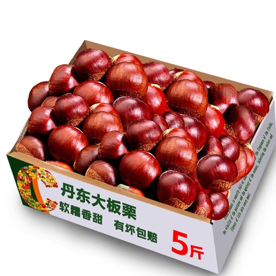 宁丹东新鲜生现摘大板栗5斤