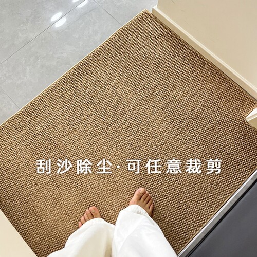 新款地垫入户门垫门口脚垫子玄关防滑仿剑麻防猫抓地毯可裁剪客厅