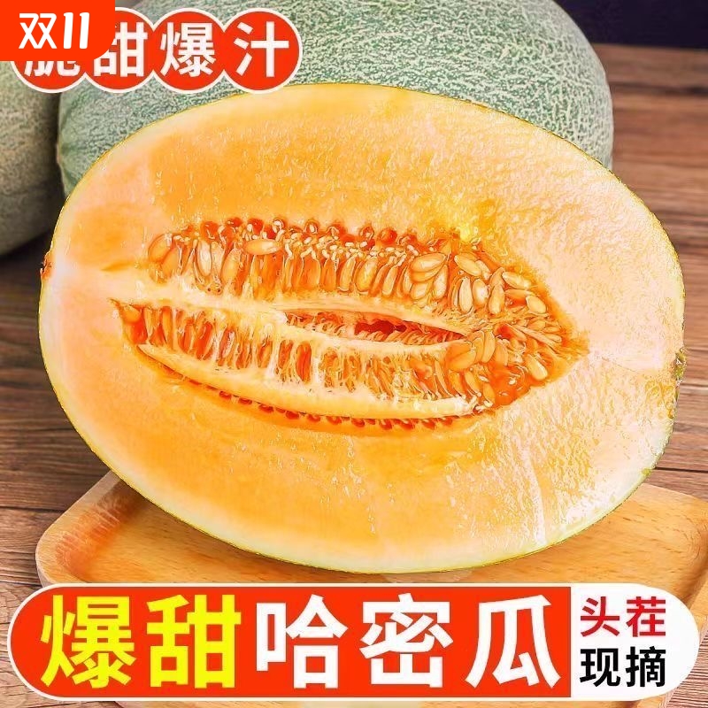 【优质】正宗新鲜哈密瓜新鲜水果疆西州蜜瓜网纹甜瓜现摘现发爆甜