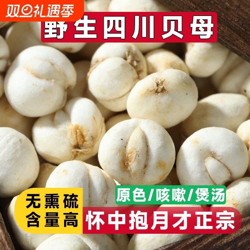 四川川贝母中药材野生川贝正品粒贝母粉止咳煲汤炖梨汤润喉肺贝母