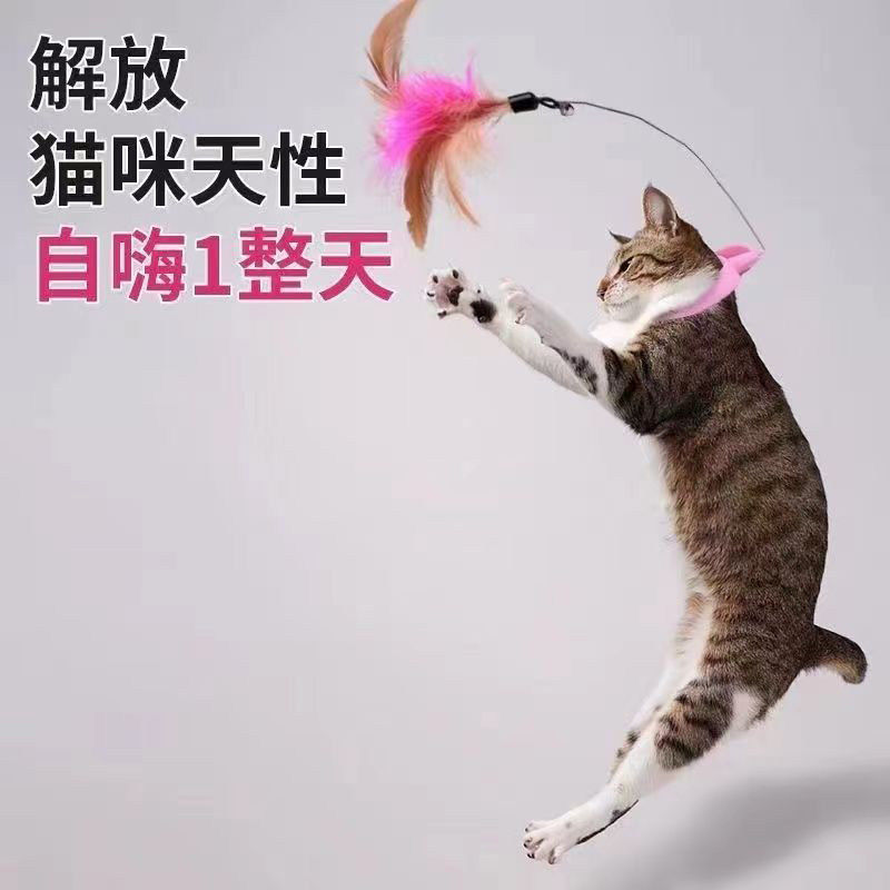 头戴式逗猫棒玩具猫咪自嗨解闷消耗体力神器自动羽毛项圈逗猫用品,宠物/宠物食品及用品,逗猫棒,淘宝优惠券,粉丝福利购,淘宝优惠卷