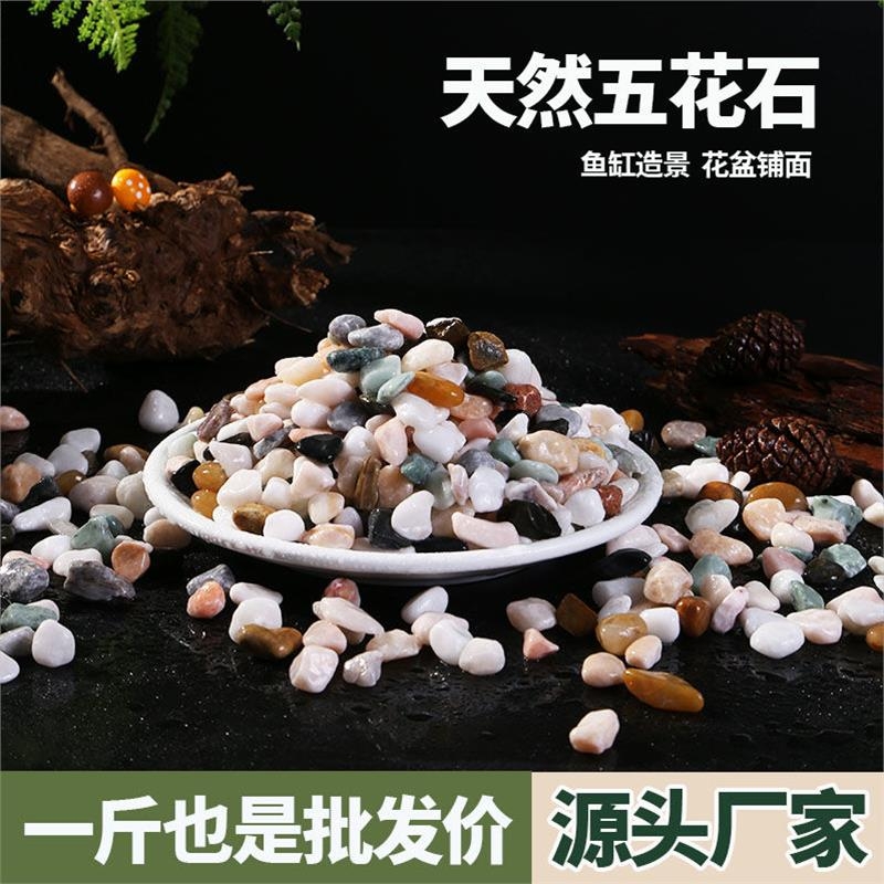 天然彩色石子雨花石五彩石原石盆栽多肉铺面彩色石头鱼缸底部砂石