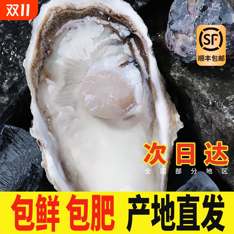 【鲜活生蚝批发】新鲜特大海蛎子5斤带箱牡蛎水商用整箱批发