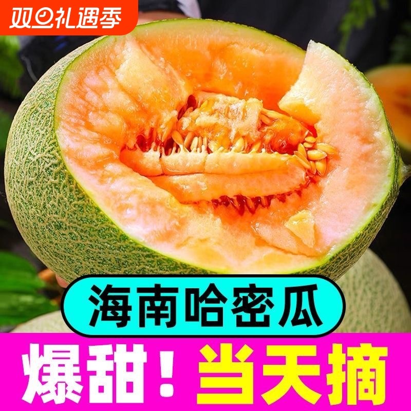 【优质】正宗哈密瓜新鲜整箱水果当季现季网纹瓜香甜蜜瓜应季脆甜