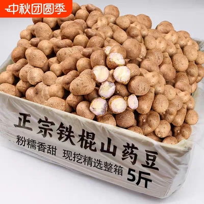 铁棍山药豆新鲜山药豆现摘农家冰糖葫芦用豆山药蛋农家种植产地