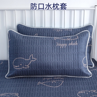 枕巾枕头套保护枕芯生螨家用48X74 防口水防头油夹乳胶枕套一对装