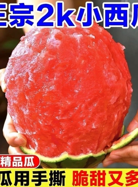 小糖丸手撕西瓜袖珍新鲜水果薄皮冰现摘应季沙瓤老店精品2k西瓜