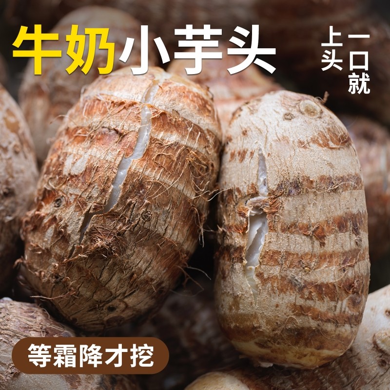 云南牛奶小芋头芋头新鲜毛芋头现挖农家小芋头艿芋软糯大香芋蔬菜,水产肉类/新鲜蔬果/熟食,芋头,淘宝优惠券,粉丝福利购,淘宝优惠卷