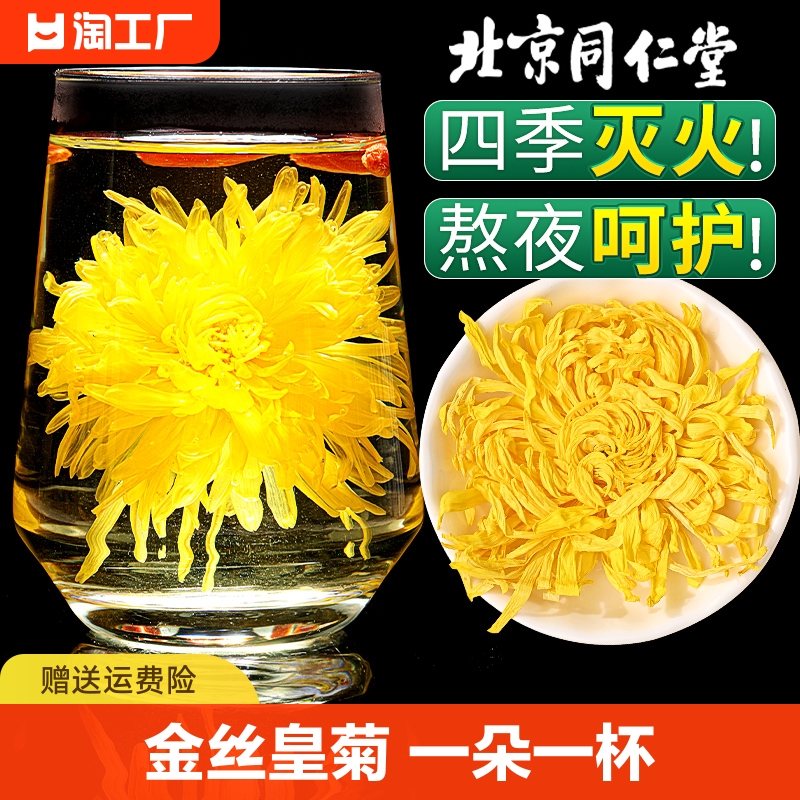 同仁堂养生茶南京金丝皇菊