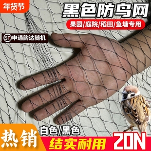 涤纶防护网高强涤纶合股防鸟网果园果树大棚防鸟天网户外鱼塘养殖