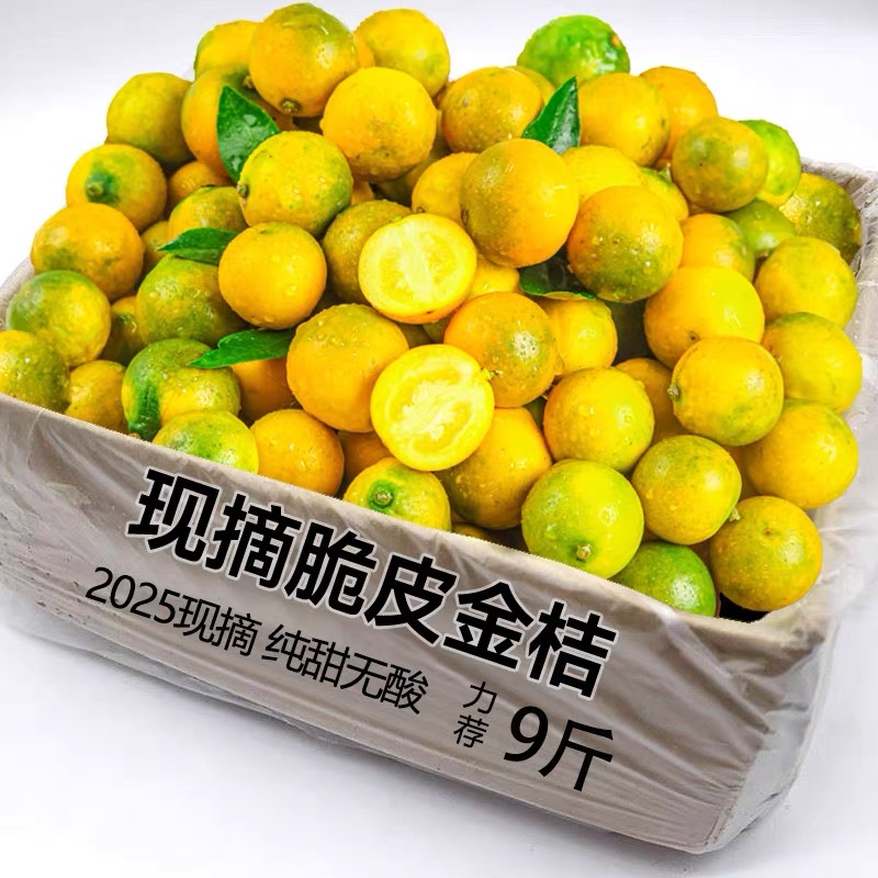 广西小金桔9斤新鲜水果脆皮冰糖金桔应当季橘子整箱包邮纯甜正