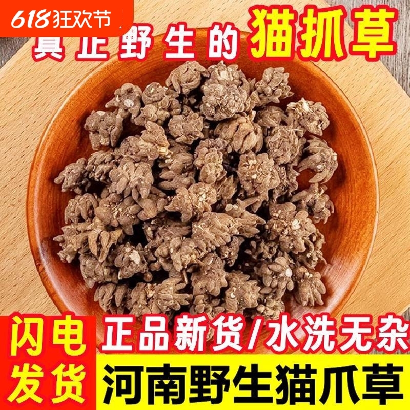 野生猫爪草材水洗猫爪草猫抓草夏枯草蒲公英郁金猫爪草汤