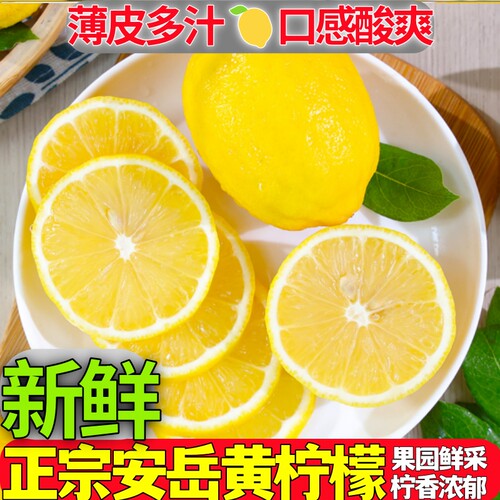 安岳黄柠檬水果当季新果酸爽多汁