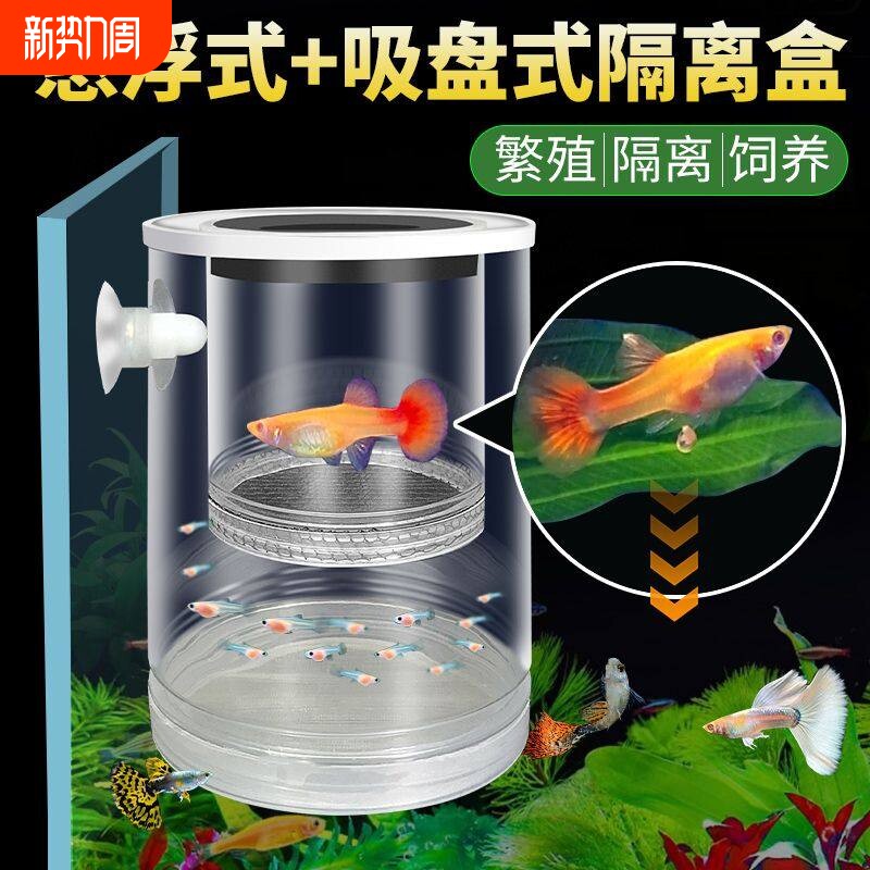 鱼缸悬浮式孔雀鱼繁殖隔离盒小鱼幼鱼苗凤尾母鱼产房漂浮孵化罐网