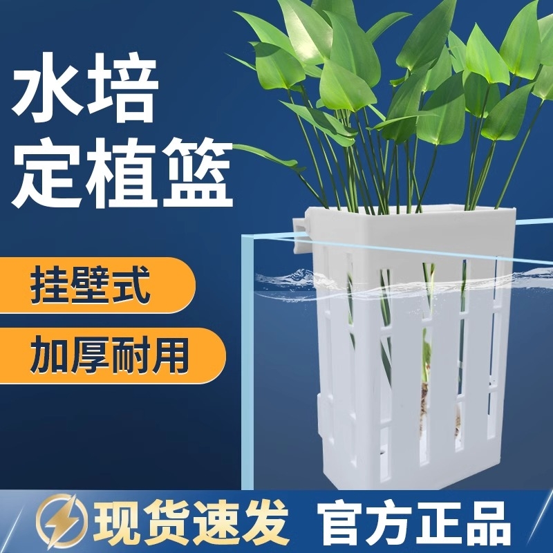鱼缸水培定植篮壁挂式水草杯植物固定支架造景装饰配件养鱼赏花