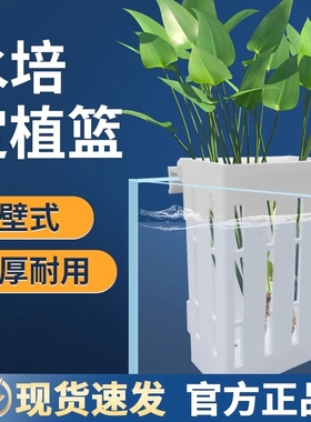 鱼缸水培定植篮壁挂式水草杯植物固定支架造景装饰配件养鱼赏花