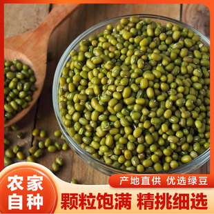 新货大粒绿豆山西农家可做绿豆糕绿豆汤发豆芽消暑易煮五谷杂粮