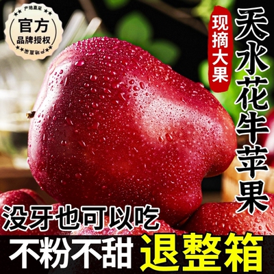 天水花牛苹果正宗甘肃当季蛇红果新鲜水果10斤整箱粉面沙甜冰糖心