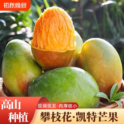 现摘凯特芒果芒果5斤新鲜应季水果整箱包邮特大青芒果当季源头