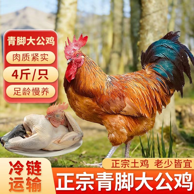 精选农家散养黑脚公鸡整鸡新鲜冷冻土鸡草鸡柴鸡炒鸡煲汤食材年货,水产肉类/新鲜蔬果/熟食,整鸡/整鸡制品,淘宝优惠券,粉丝福利购,淘宝优惠卷