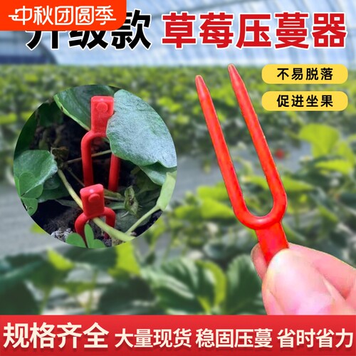 草莓西瓜苗叉子管理固定器配件