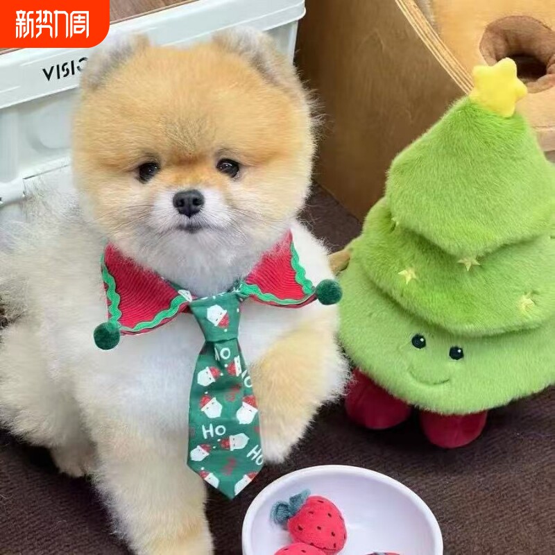 宠物圣诞款球球领带可爱绅士领带狗狗猫猫小型犬宠物比熊泰迪围兜