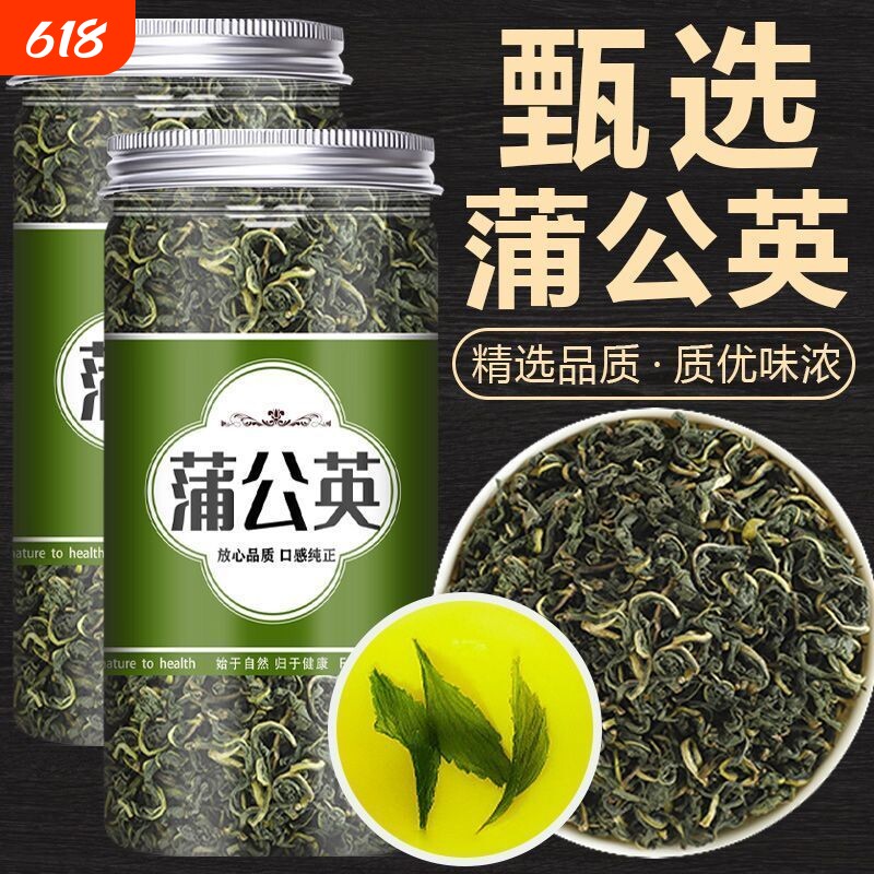 天然长白山蒲公英茶免洗消炎养生野生特级蒲公英新鲜新货去火无硫