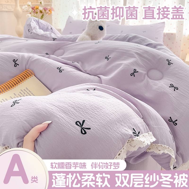 A类双层纱被子加厚保暖被褥被芯