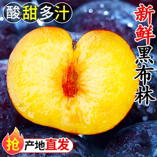 黑布林水果李子正宗新鲜应季现摘酸甜脆李黑宝石黄肉李子整箱包邮