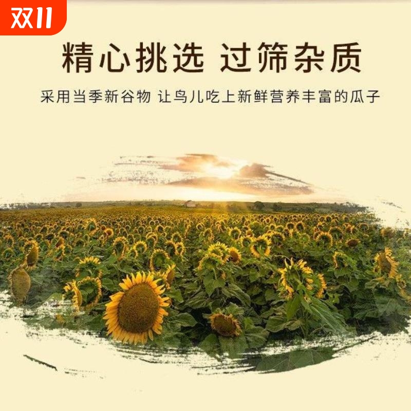 2025年新黑珍珠小瓜子葵花子油葵籽鹦鹉鸟食仓鼠粮鸽粮黑瓜子鸟粮