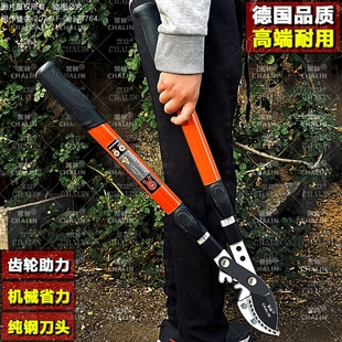 剪刀修剪树枝果树剪园林大号枝粗枝剪强力剪子修枝剪刀剪枝钳子伸