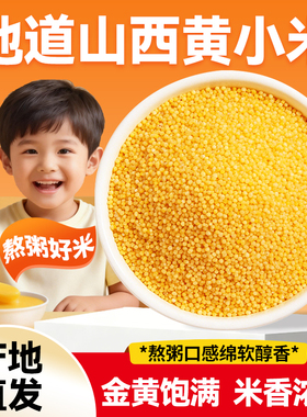 正宗山西汾州黄小米5斤当季新米黄金汤浓稠月子米农家自种