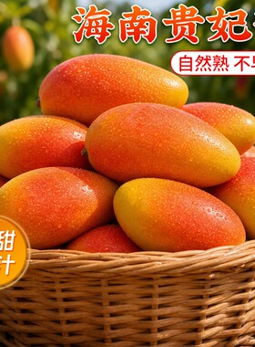 海南贵妃芒   精品贵妃芒果中大果新鲜当季时令热带水果包邮