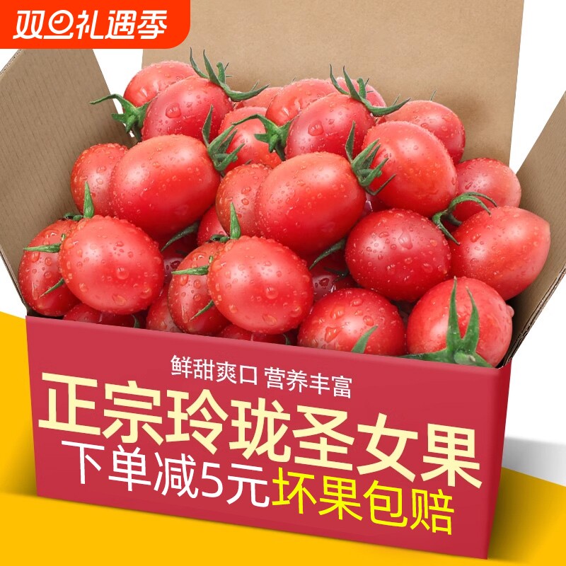 现摘农家玲珑圣女果3斤小番茄新鲜水果蔬菜当季时令小西红柿5