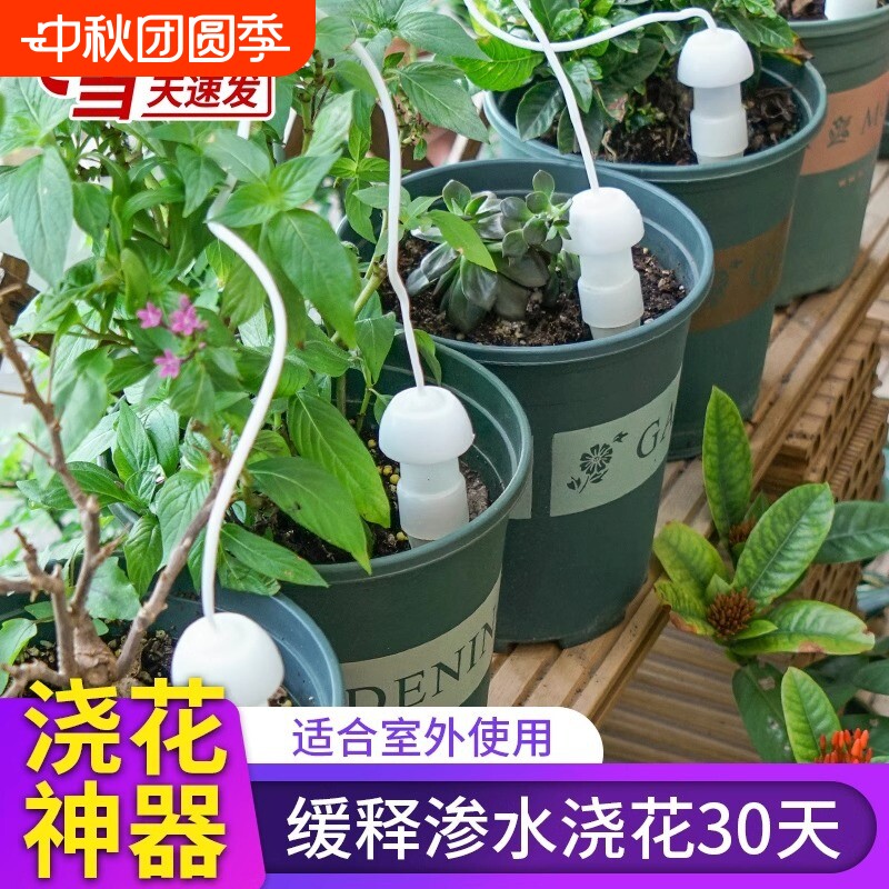 自动浇水器浇花神器种菜滴水器出差植物浇水园艺工具土壤吸水室外
