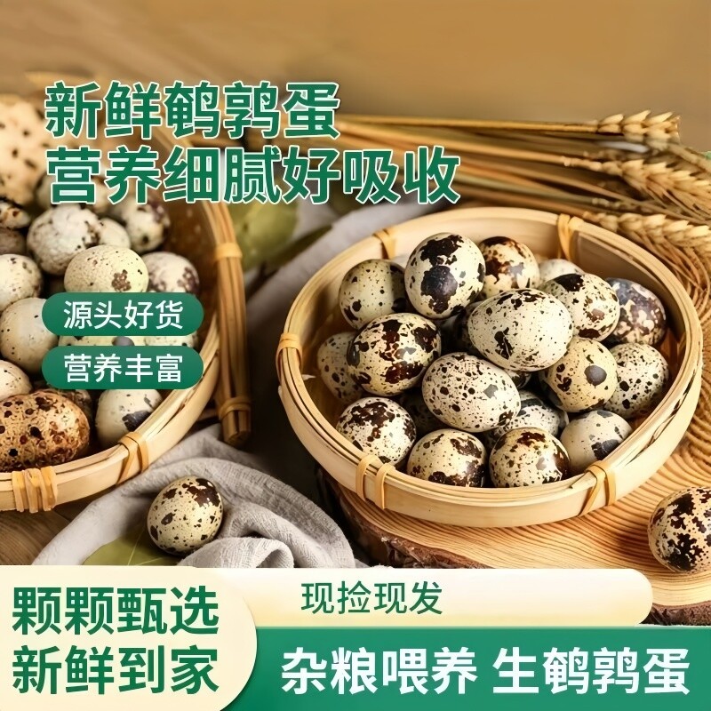 新鲜鹌鹑蛋农家自产特产批发杂粮喂养散养宝宝辅食多规格