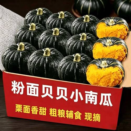山东正宗贝贝南瓜宝宝辅食板栗味小南瓜新鲜蔬菜南瓜粉糯香甜自提